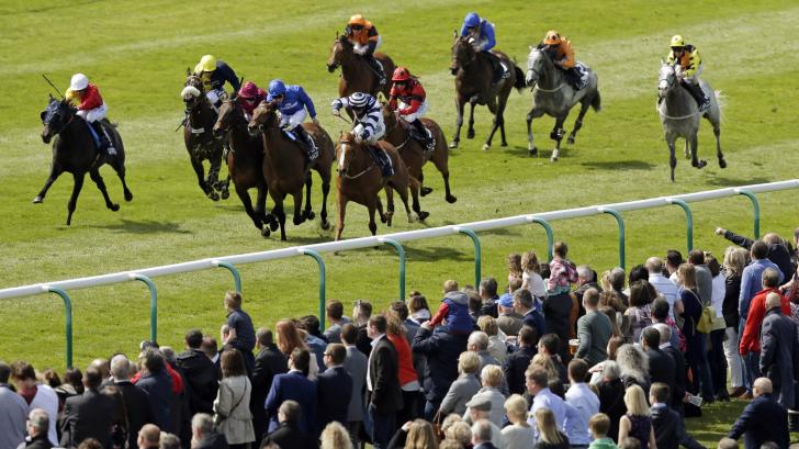 Newmarket racecourse during the July Festival